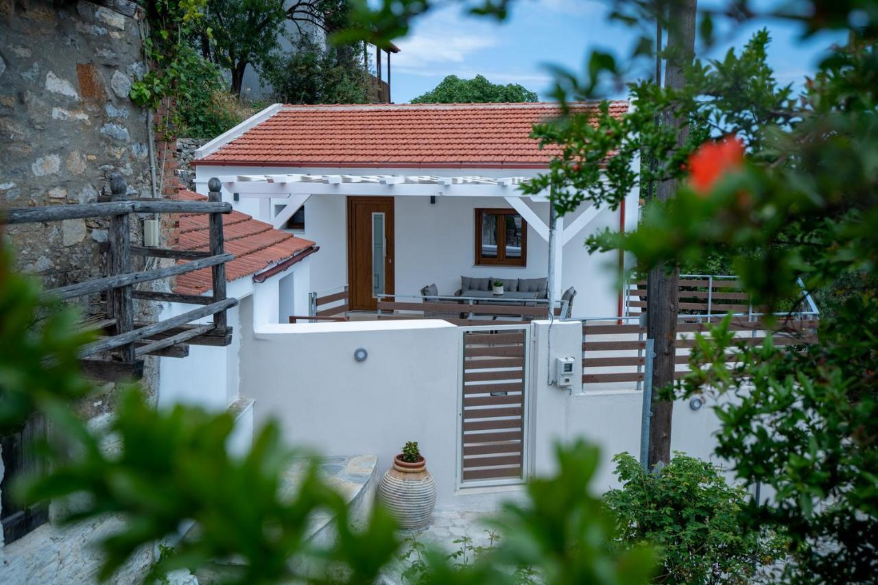 Angela's House
